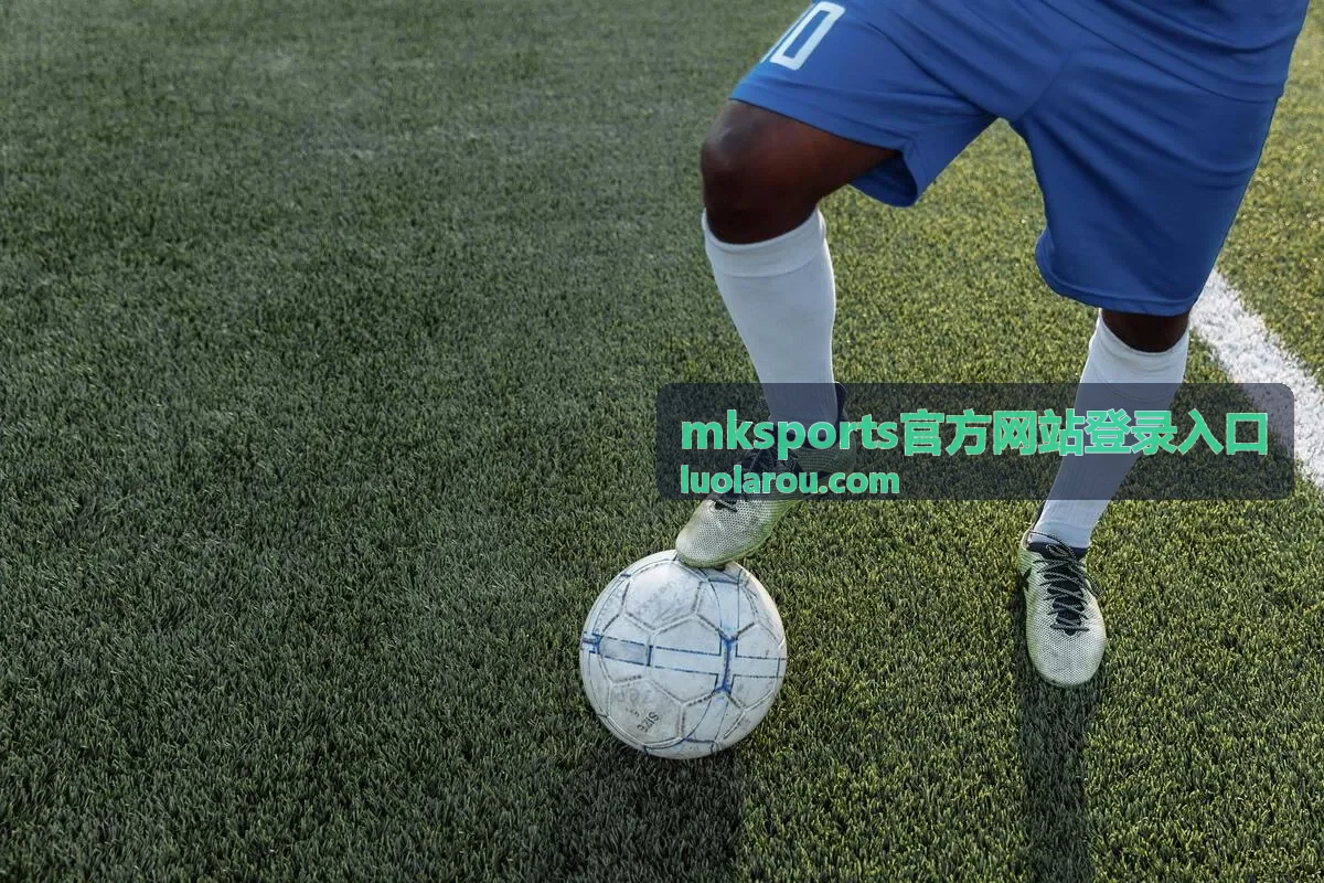 mksports官方网站登录入口 观看教程第二步 打开登录入口完成登录