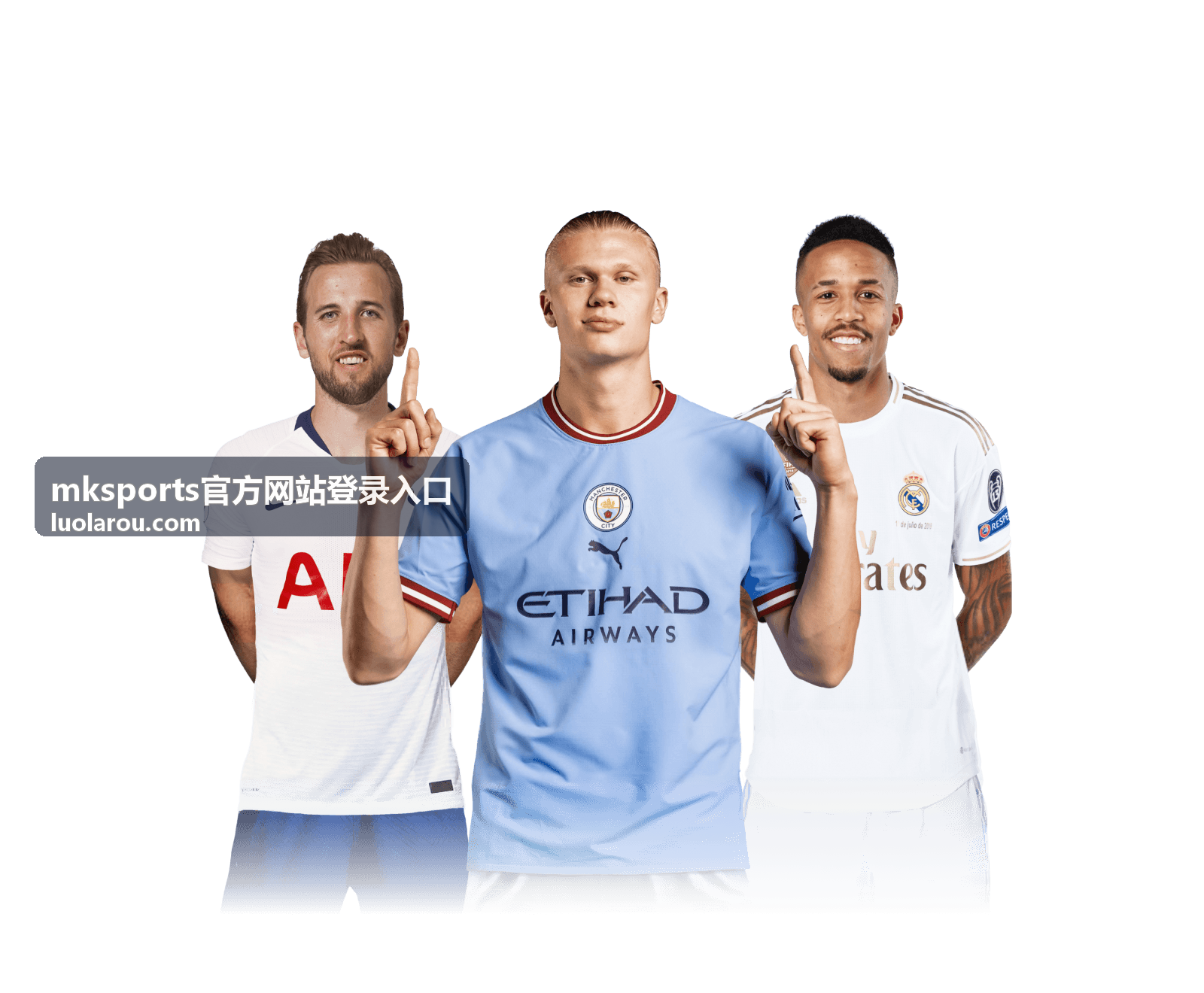 mksports官方网站登录入口登录步骤演示图