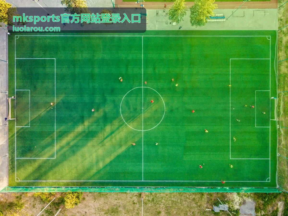mksports官方网站登录入口账号安全设置与登录提醒说明