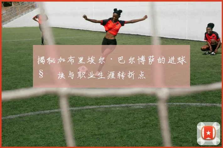 揭秘加布里埃尔·巴尔博萨的进球秘诀与职业生涯转折点