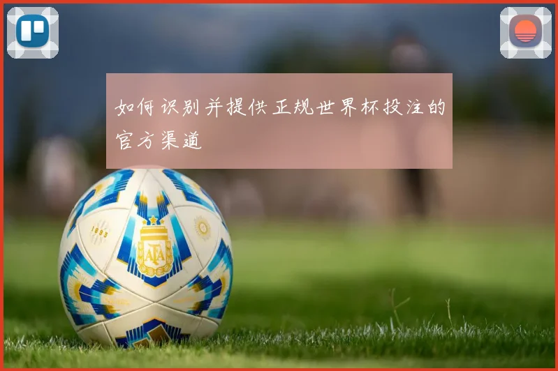 如何识别并提供正规世界杯投注的官方渠道