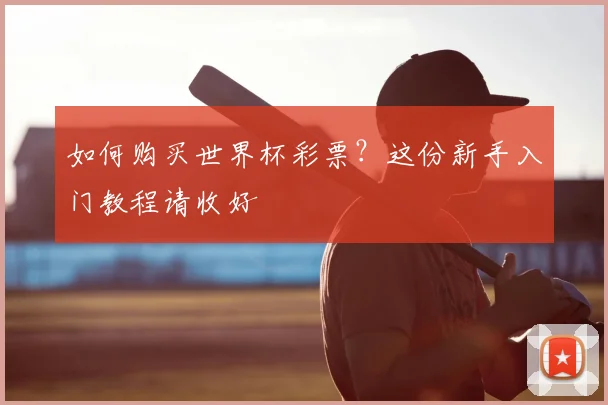 如何购买世界杯彩票？这份新手入门教程请收好