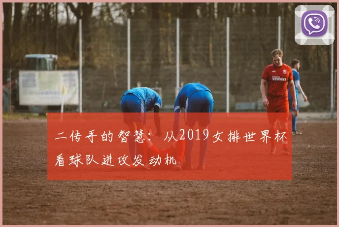 二传手的智慧：从2019女排世界杯看球队进攻发动机