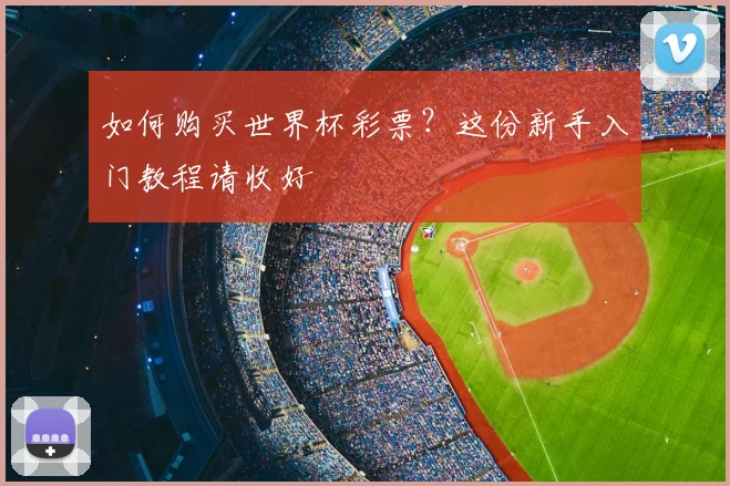 如何购买世界杯彩票？这份新手入门教程请收好
