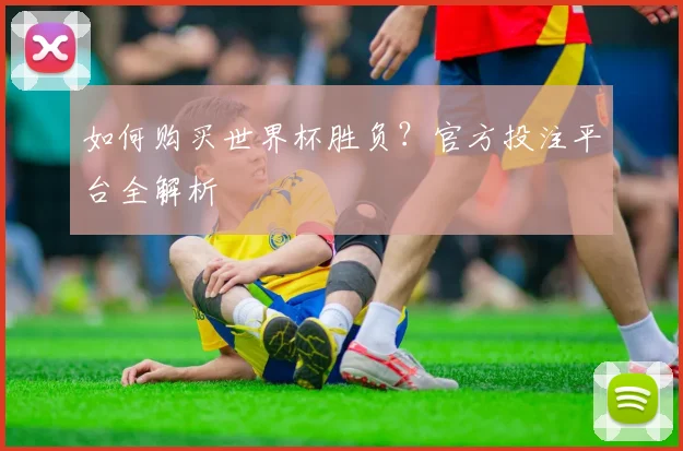 如何购买世界杯胜负？官方投注平台全解析