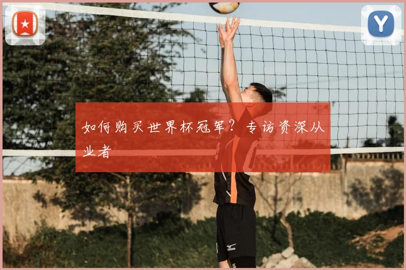 如何购买世界杯冠军？专访资深从业者