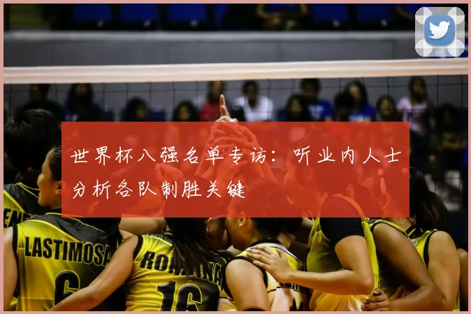 世界杯八强名单专访：听业内人士分析各队制胜关键