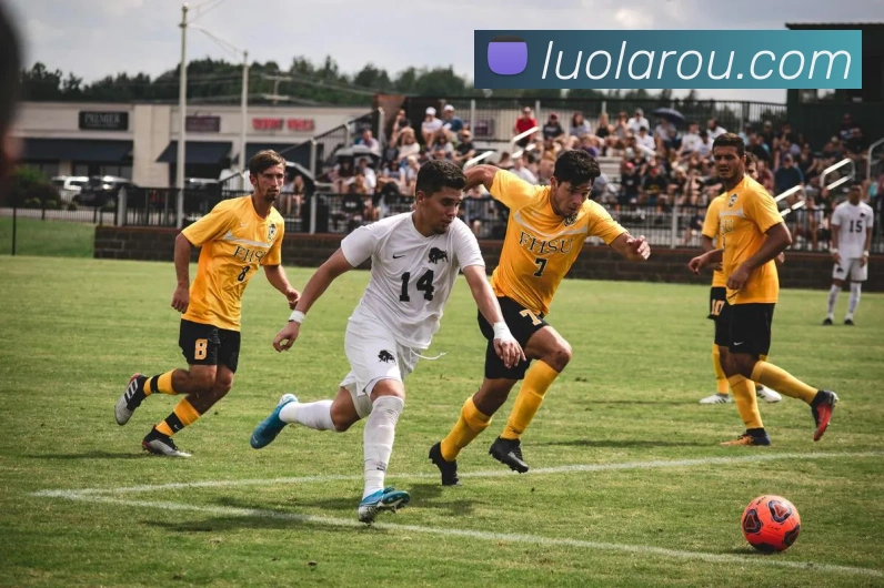 多媒体互动体验